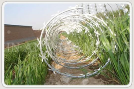 Razor Wire